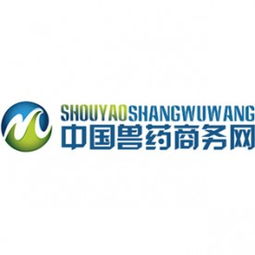 計(jì)算機(jī)軟硬件技術(shù)開發(fā) 企業(yè)核心競(jìng)爭(zhēng)力的構(gòu)建與未來展望